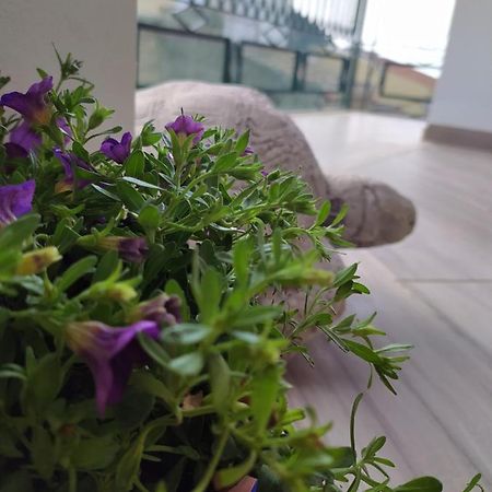 Attico Gloria & Greta Apartment Castellammare del Golfo Exterior photo