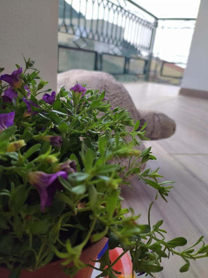Attico Gloria & Greta Apartment Castellammare del Golfo Exterior photo